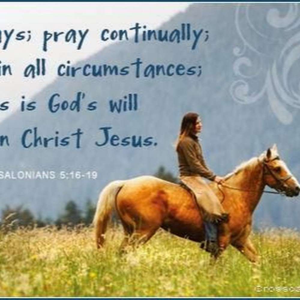 Meet your Posher, Em7phoenix